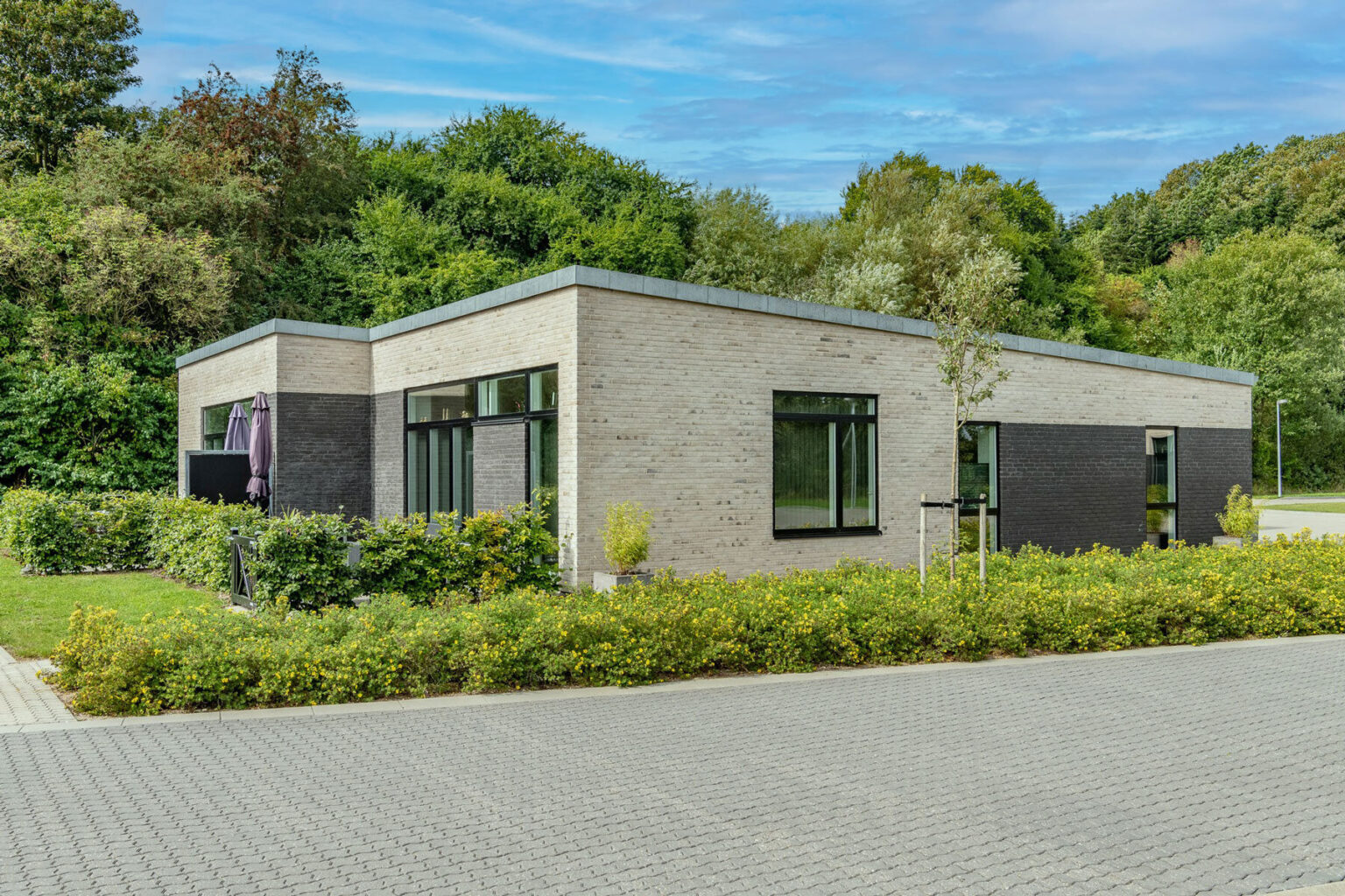 Billedet viser facaden på Albos bygninger på Kastanjealle i Horsens